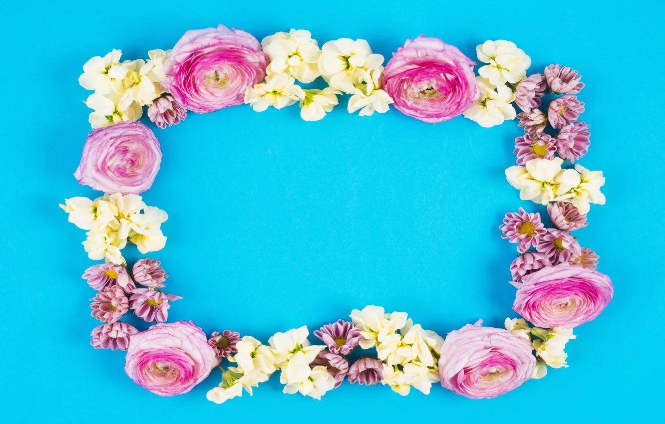 Photo wallpaper flowers, background, roses, white, white, buds, fresh, pink