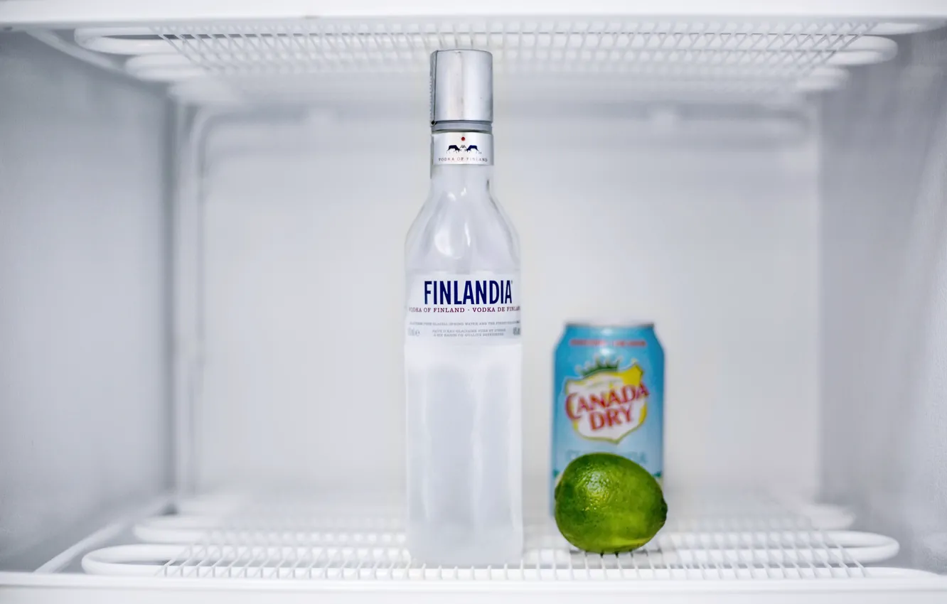 Photo wallpaper lemon, refrigerator, vodka