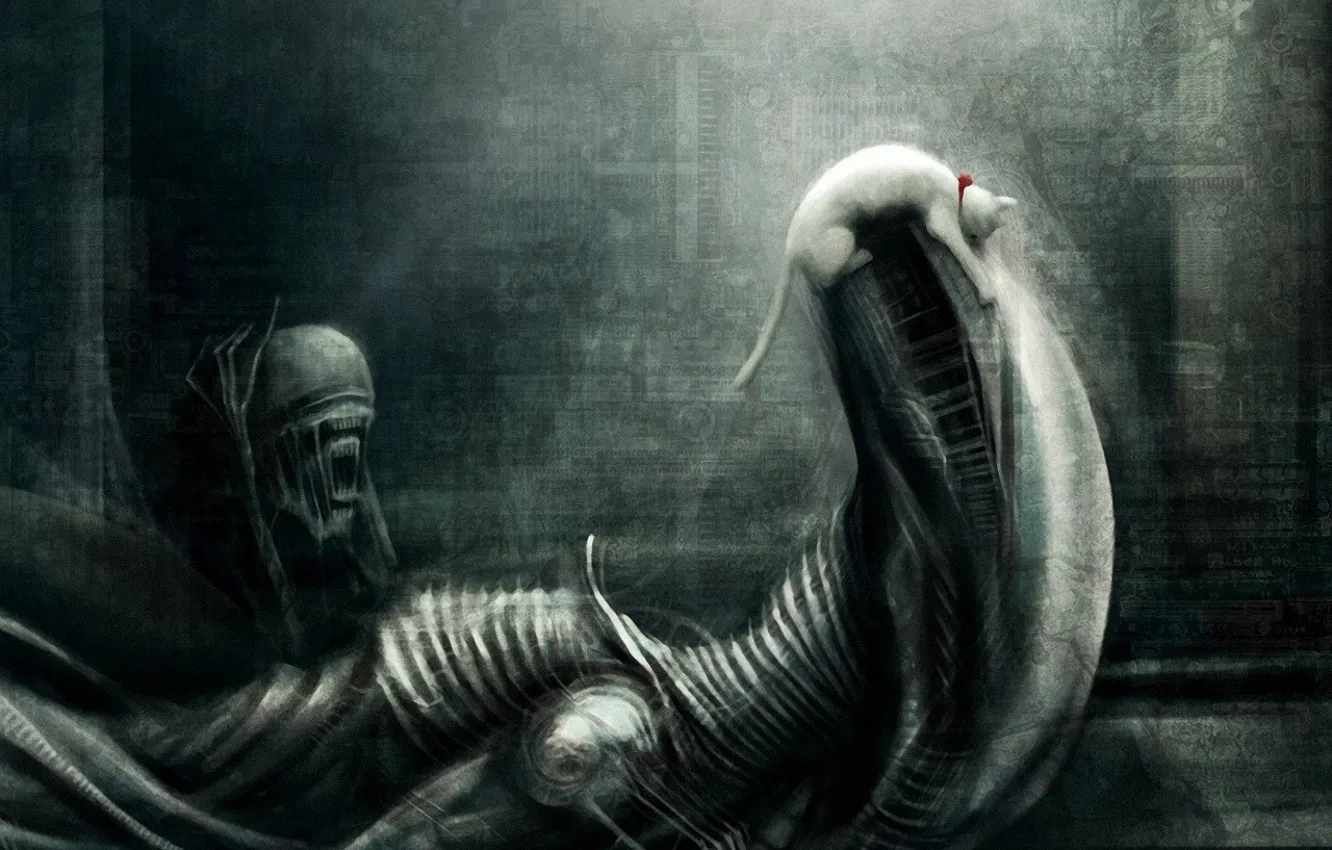 Photo wallpaper cat, humor, Stranger