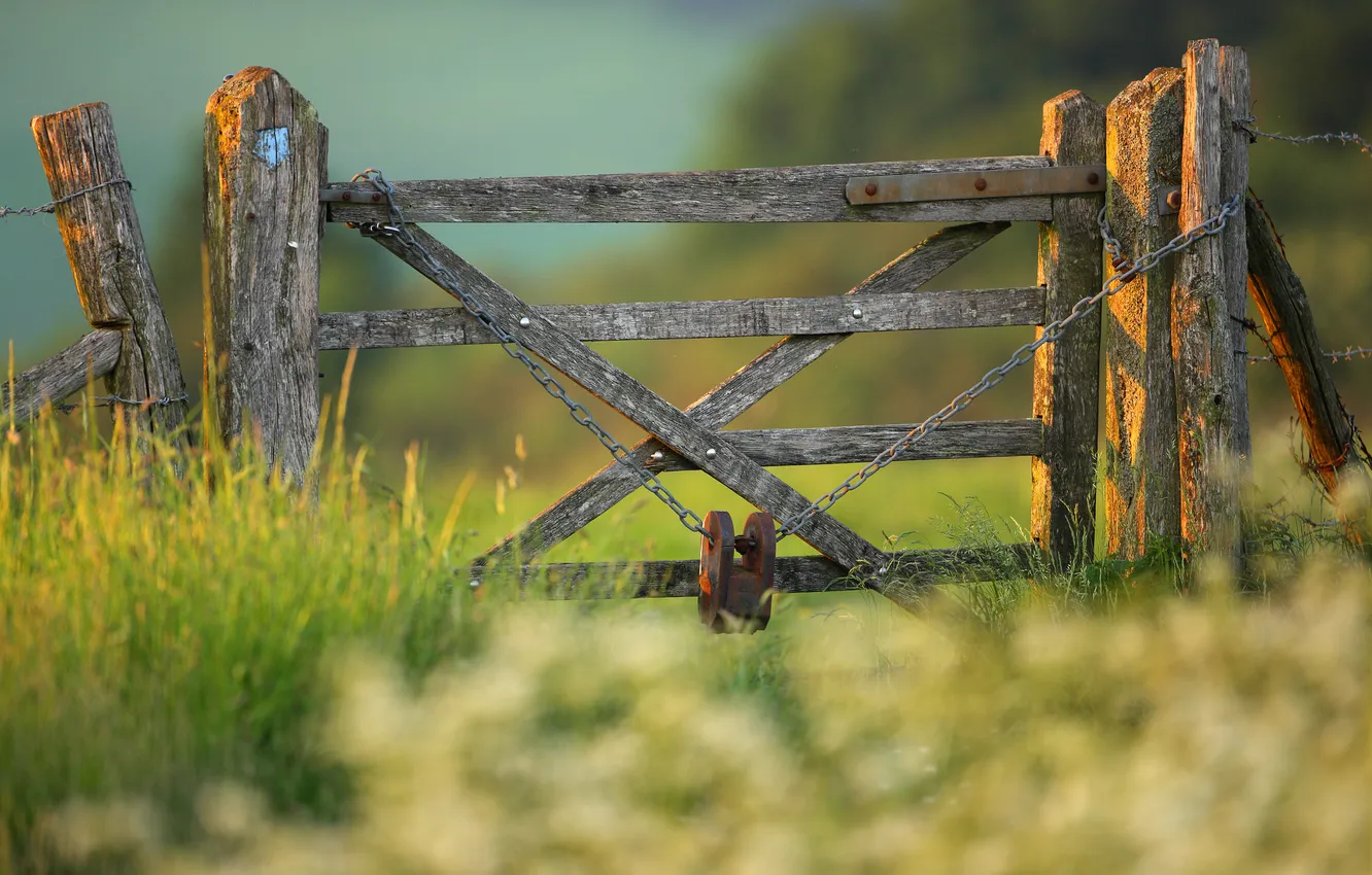 Photo wallpaper grass, nature, castle, the fence, chain, wicket