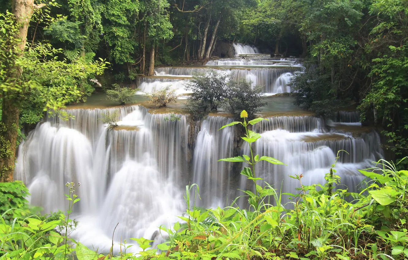 Photo wallpaper forest, trees, river, stones, waterfall, stream, jungle, Thailand