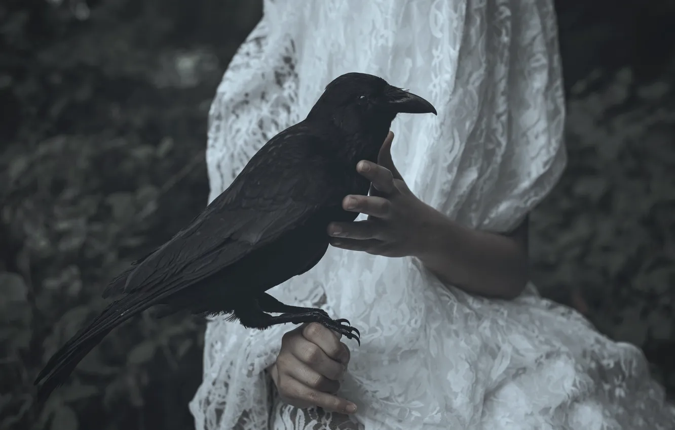 Photo wallpaper dress, crow, Lucz Anne Fowler