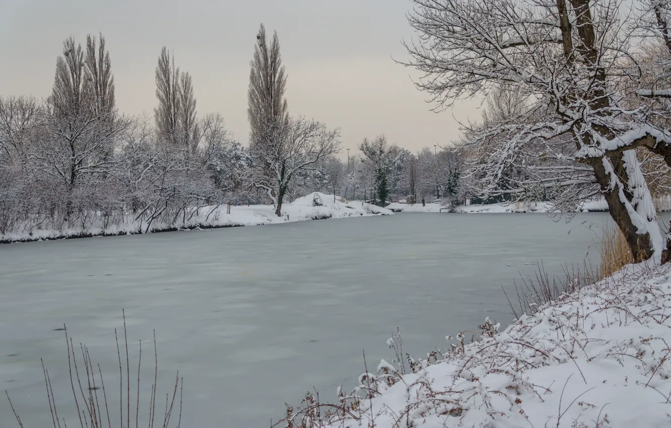 Photo wallpaper ice, winter, snow, pond, frost, winter, snow, pond