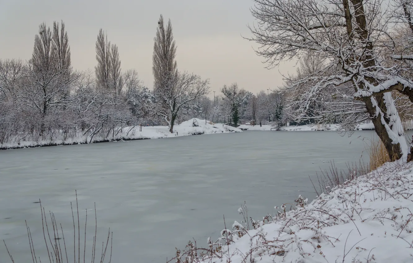 Photo wallpaper Winter, Snow, Pond, Ice, Frost, Winter, Frost, Snow