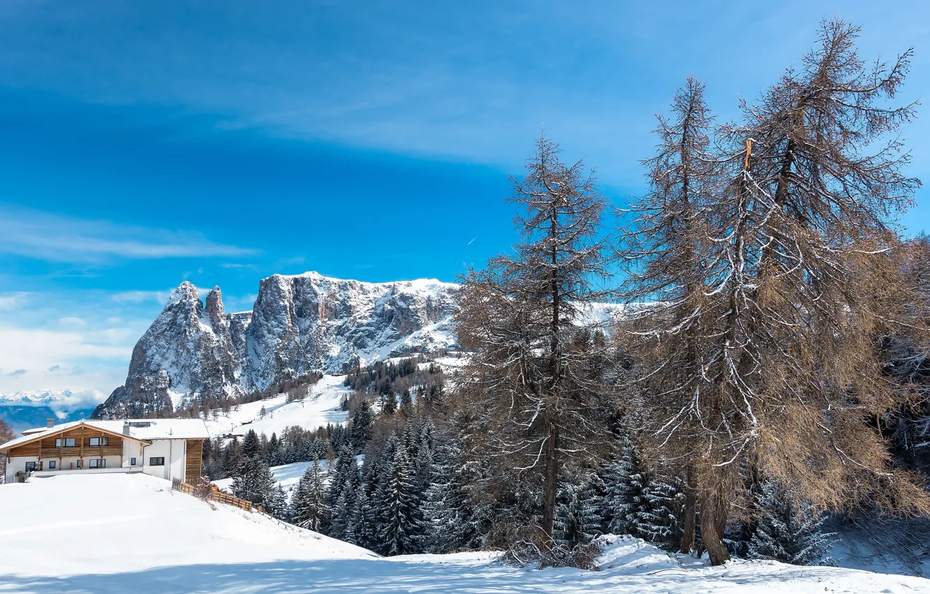 Photo wallpaper winter, forest, the sky, clouds, snow, trees, mountains, branches