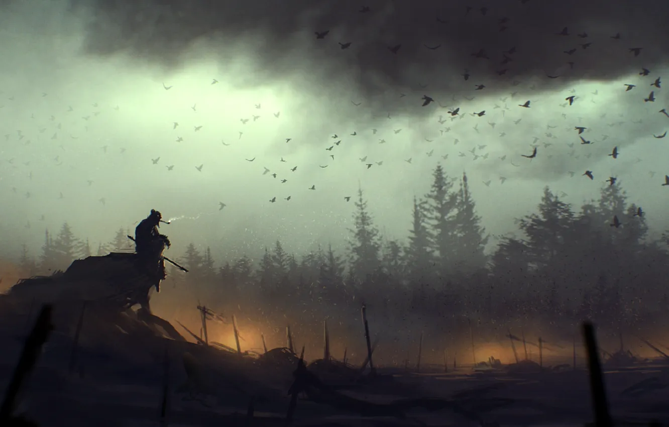 Photo wallpaper clouds, lights, bird, art, death, battlefield, lonely