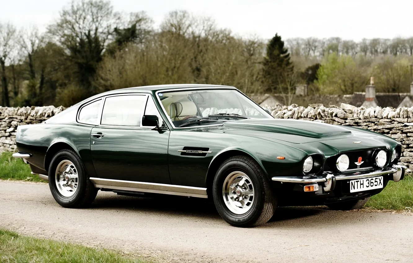 Photo wallpaper trees, green, Aston Martin, Aston Martin, supercar, classic, the front, saloon