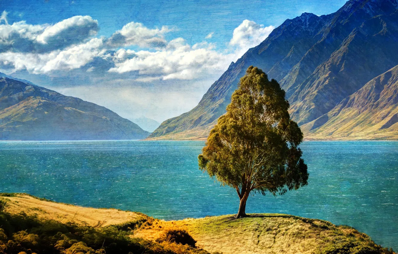 Photo wallpaper the sky, mountains, lake, tree, hdr