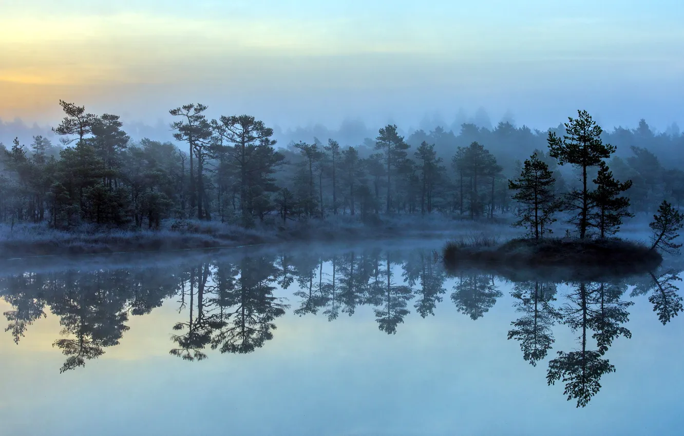 Photo wallpaper landscape, fog, lake