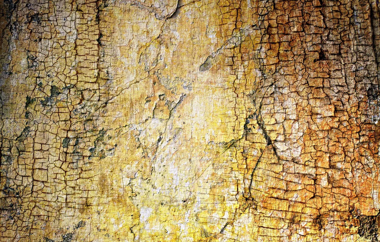 Photo wallpaper background, wall, color, texture