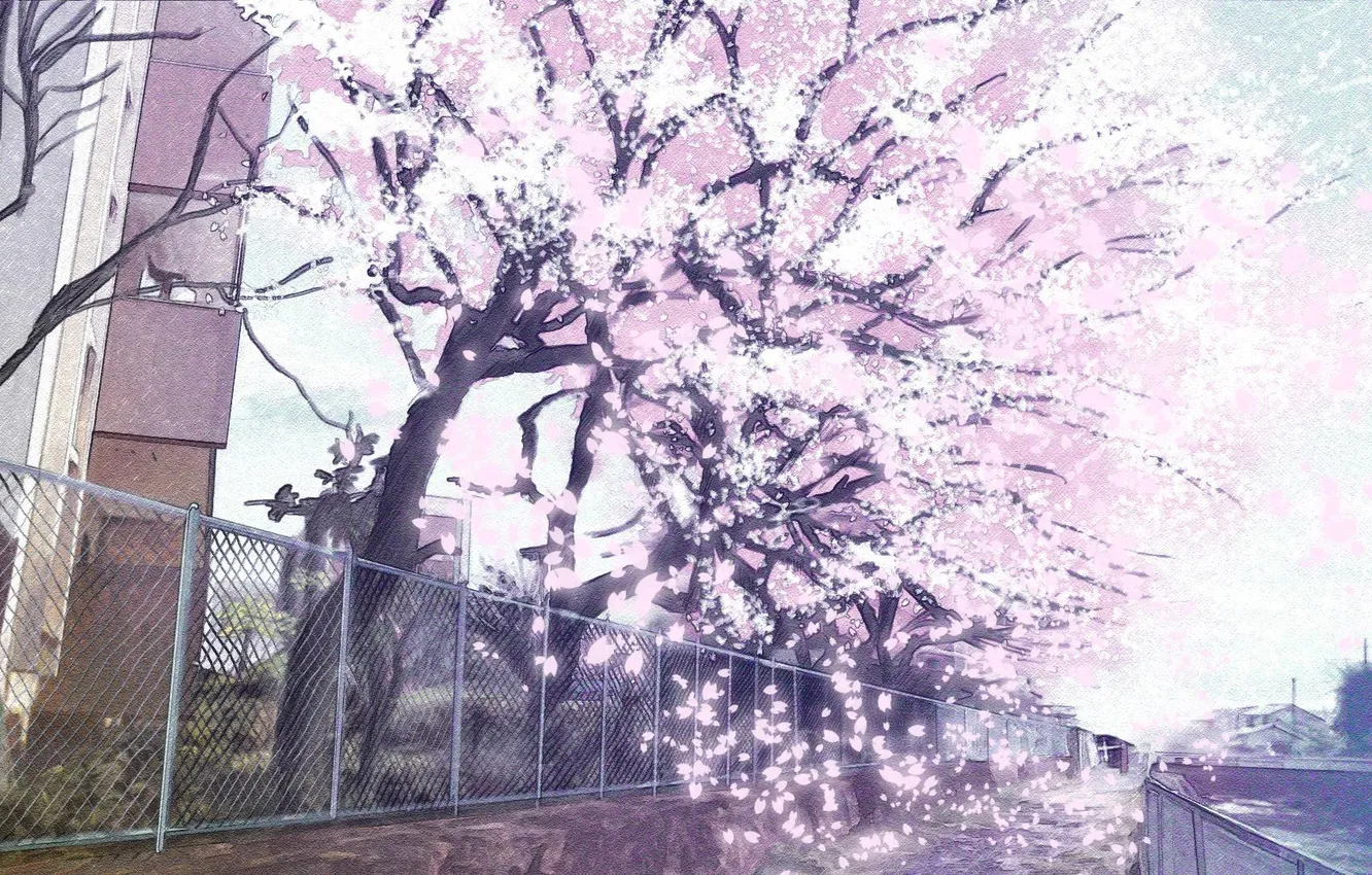 Photo wallpaper trees, the wind, the fence, building, petals, grille