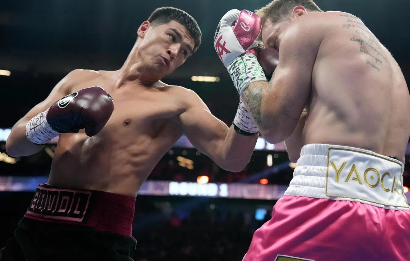 Photo wallpaper Boxing, Dmitry Bivol, Saul Alvarez, Canelo