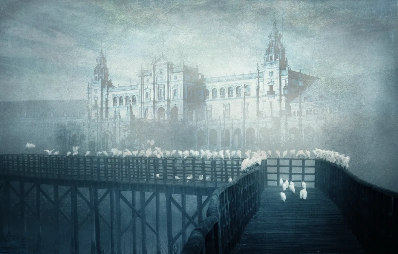 Photo wallpaper bridge, the city, style, background, bird