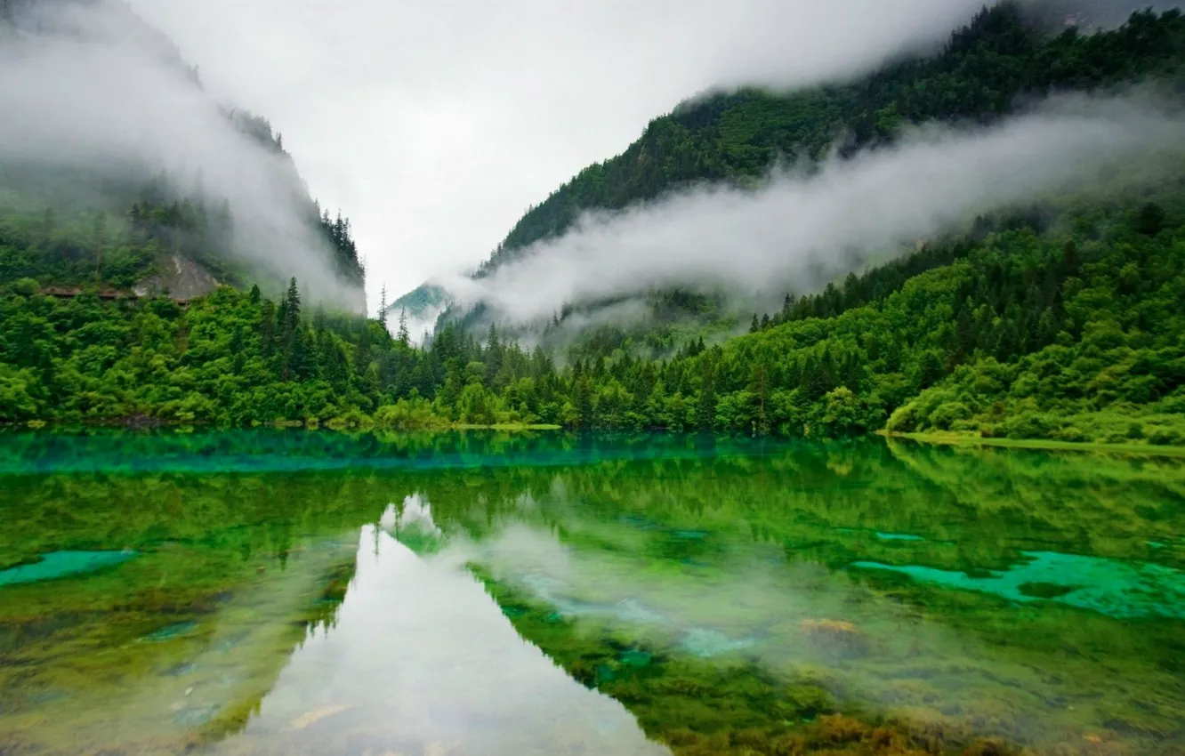 Photo wallpaper mountains, fog, lake, reflection