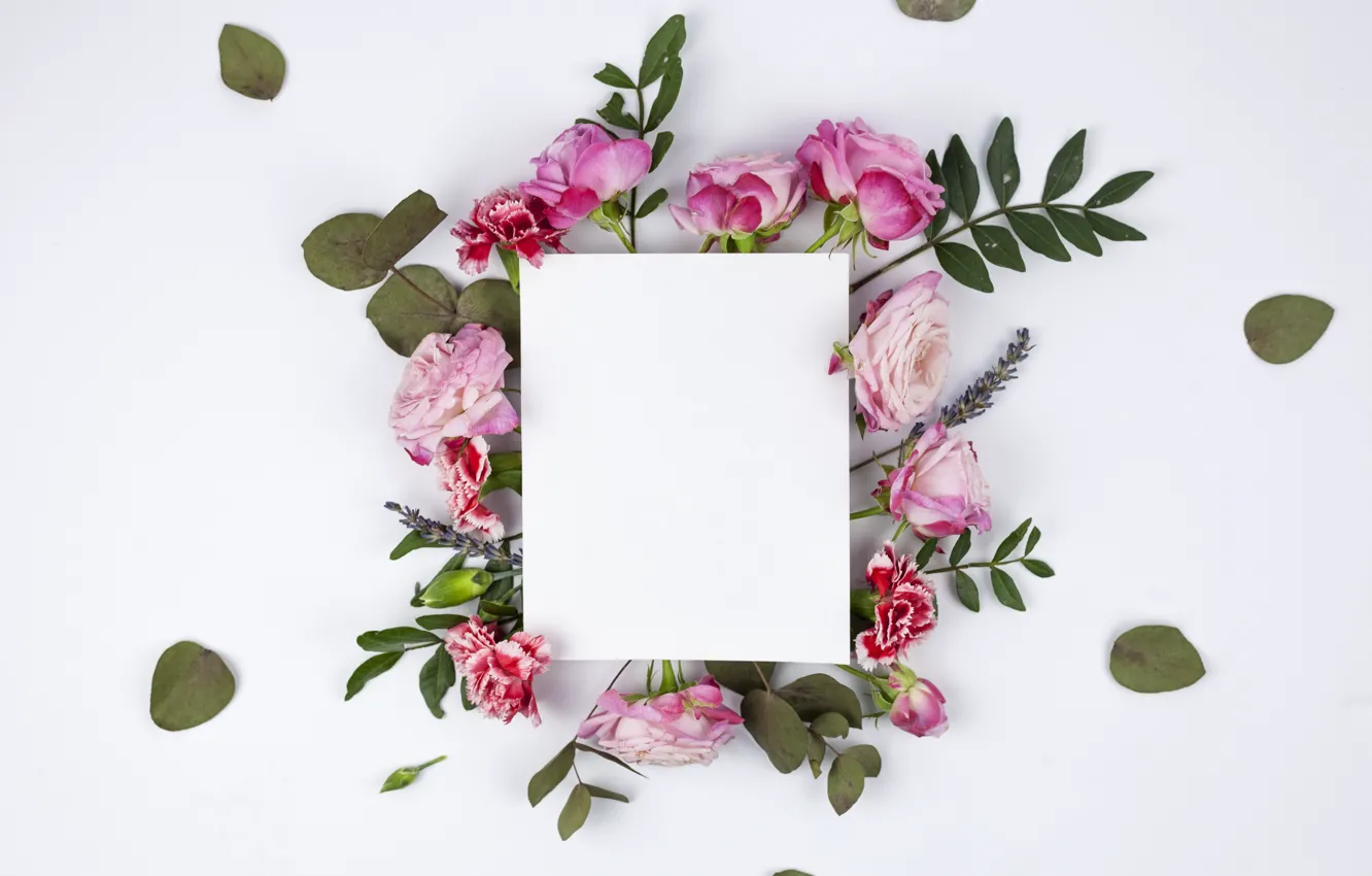 Photo wallpaper leaves, flowers, roses, composition, clove