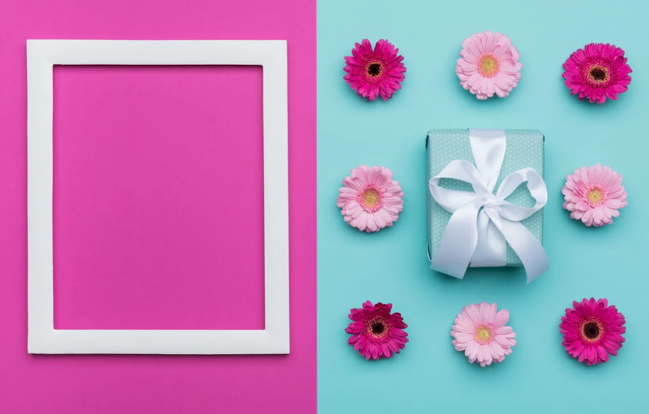 Photo wallpaper flowers, background, pink, holiday, box, gift, blue, color