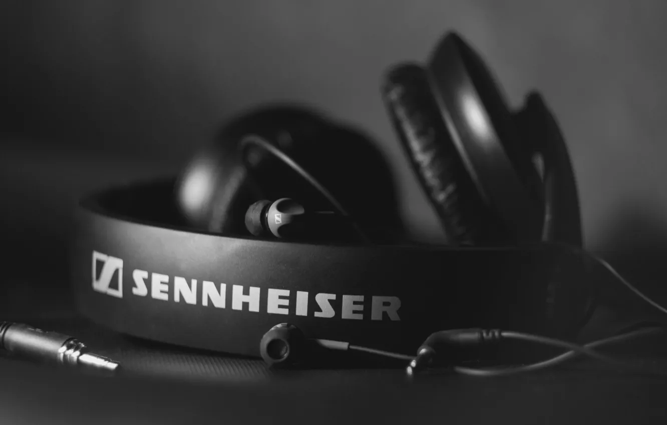 Photo wallpaper headphones, black and white, hi-tech, sennheiser, HD 205