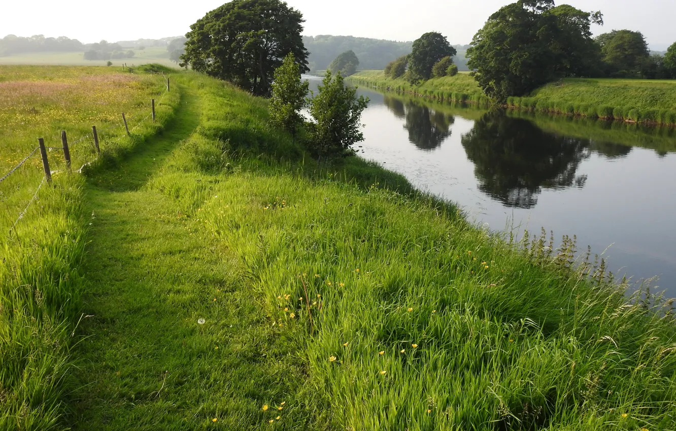 Photo wallpaper greens, field, summer, grass, trees, river, UK, path