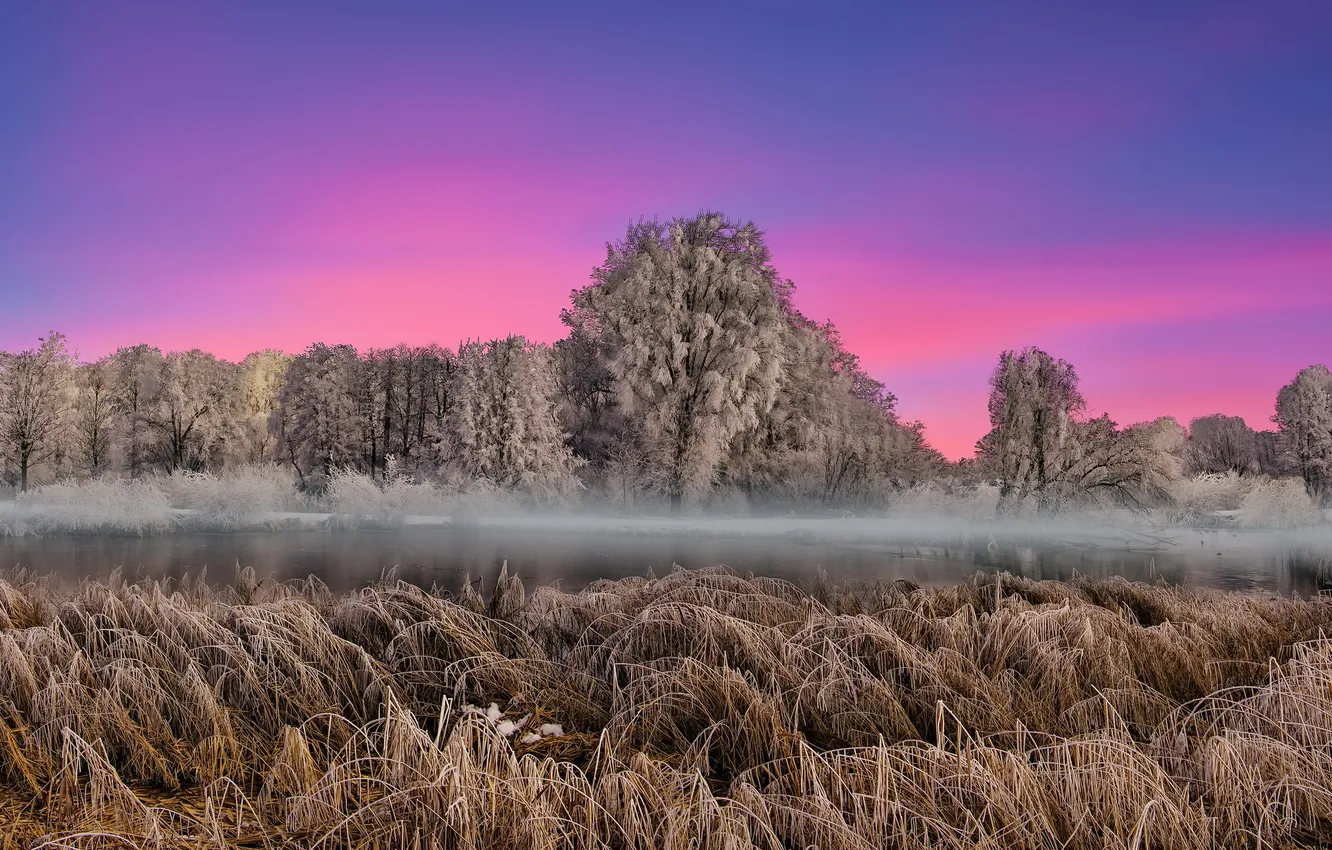 Photo wallpaper winter, fog, Bern, Wiggiswil