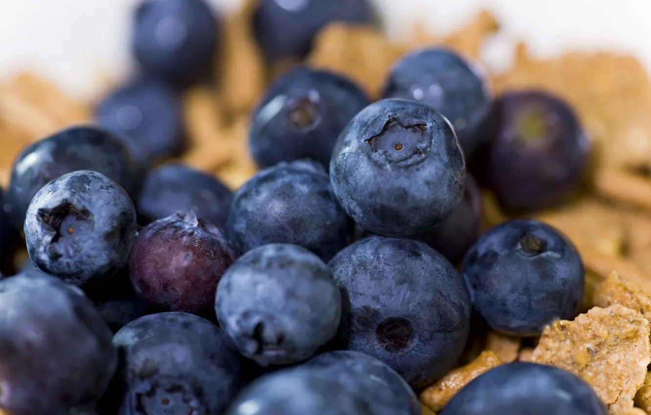 Photo wallpaper food, blueberries, cereal, blueberries