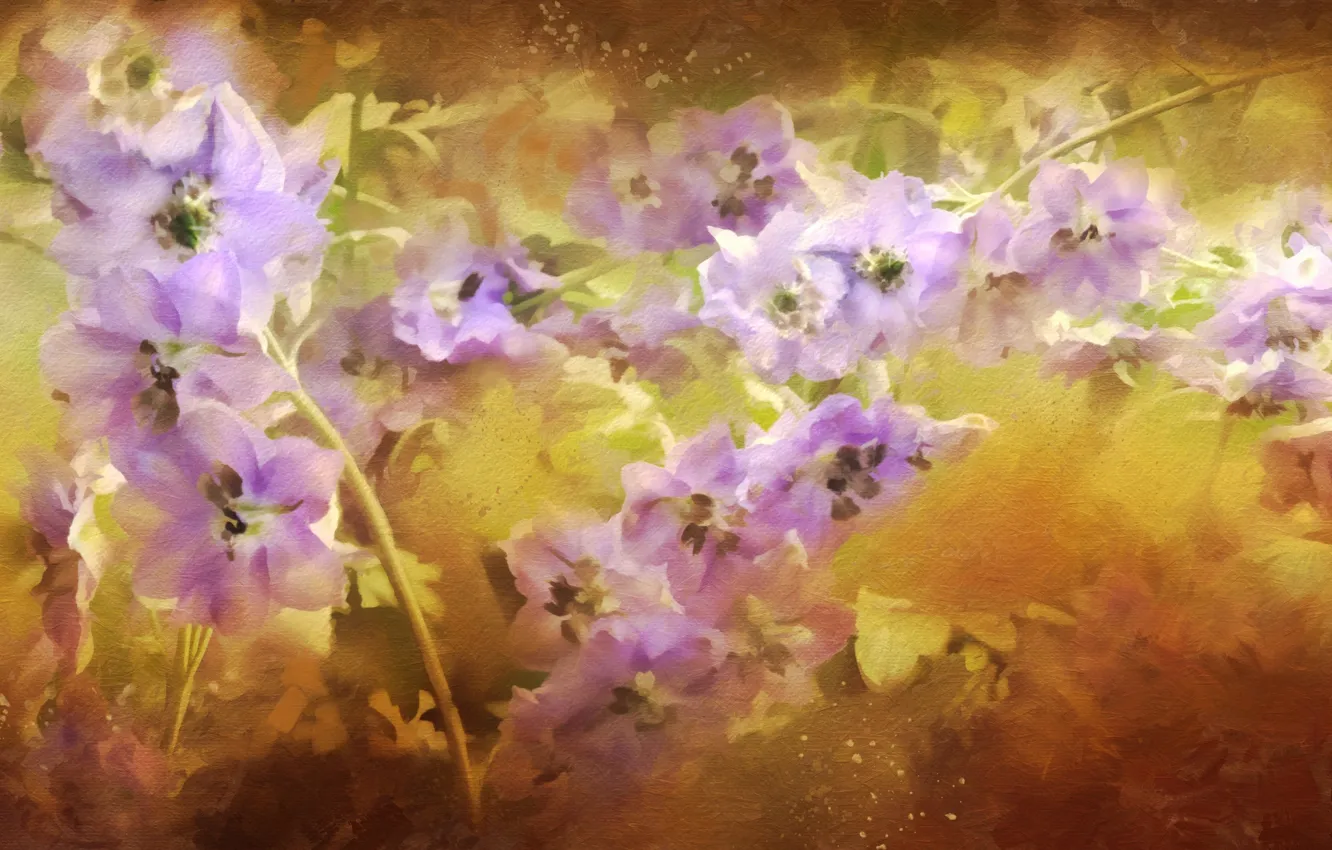 Photo wallpaper flowers, lilac, delphinium