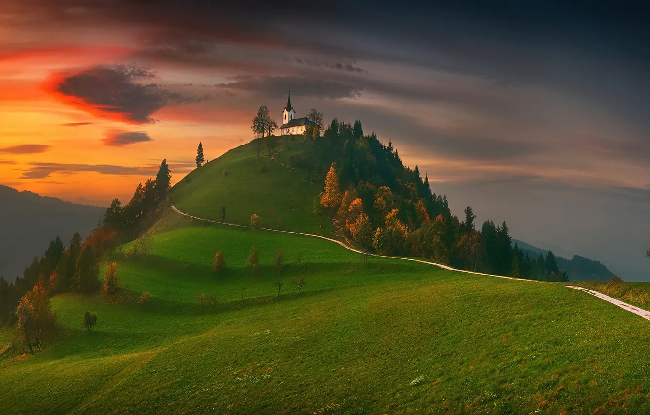 Photo wallpaper autumn, forest, sunset, mountains, hills, slope, meadow, photographer