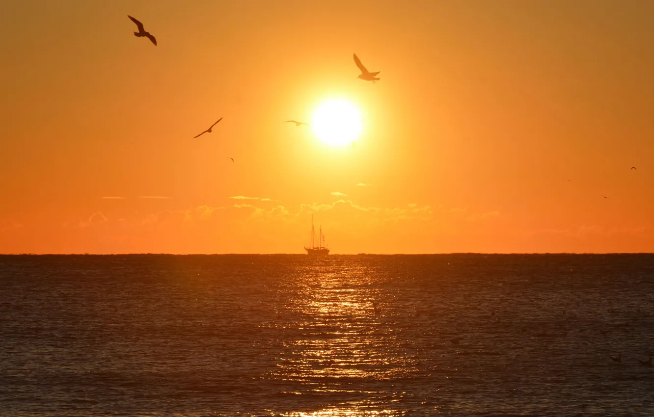 Photo wallpaper sea, the sky, the sun, birds, sunrise, ship, sailboat, horizon