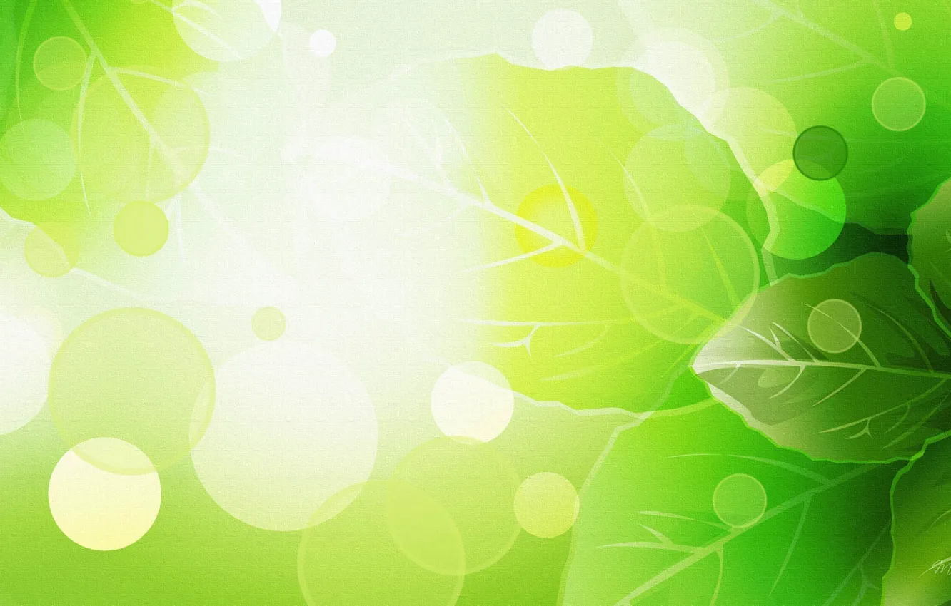 Photo wallpaper summer, leaves, rendering, green