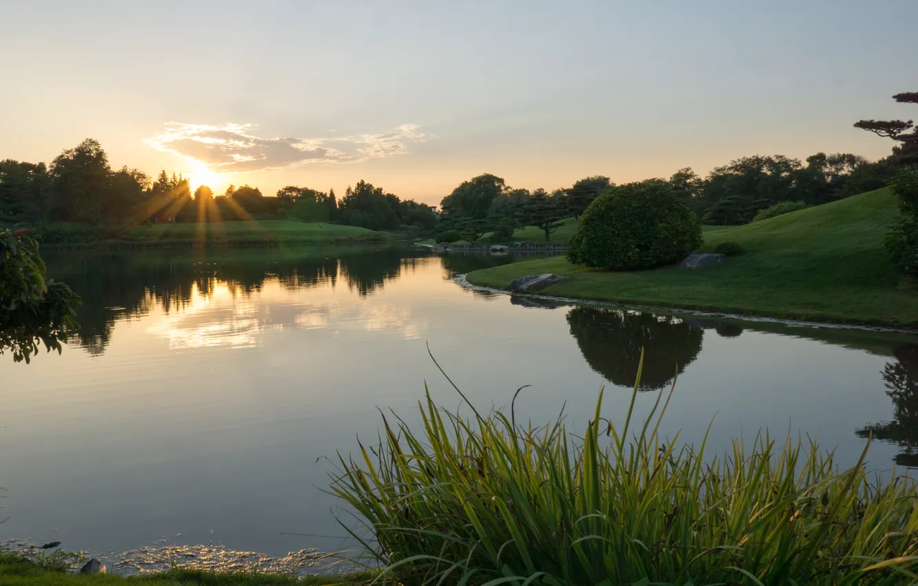 Photo wallpaper sunset, pond, Nature, nature, sunset, pond