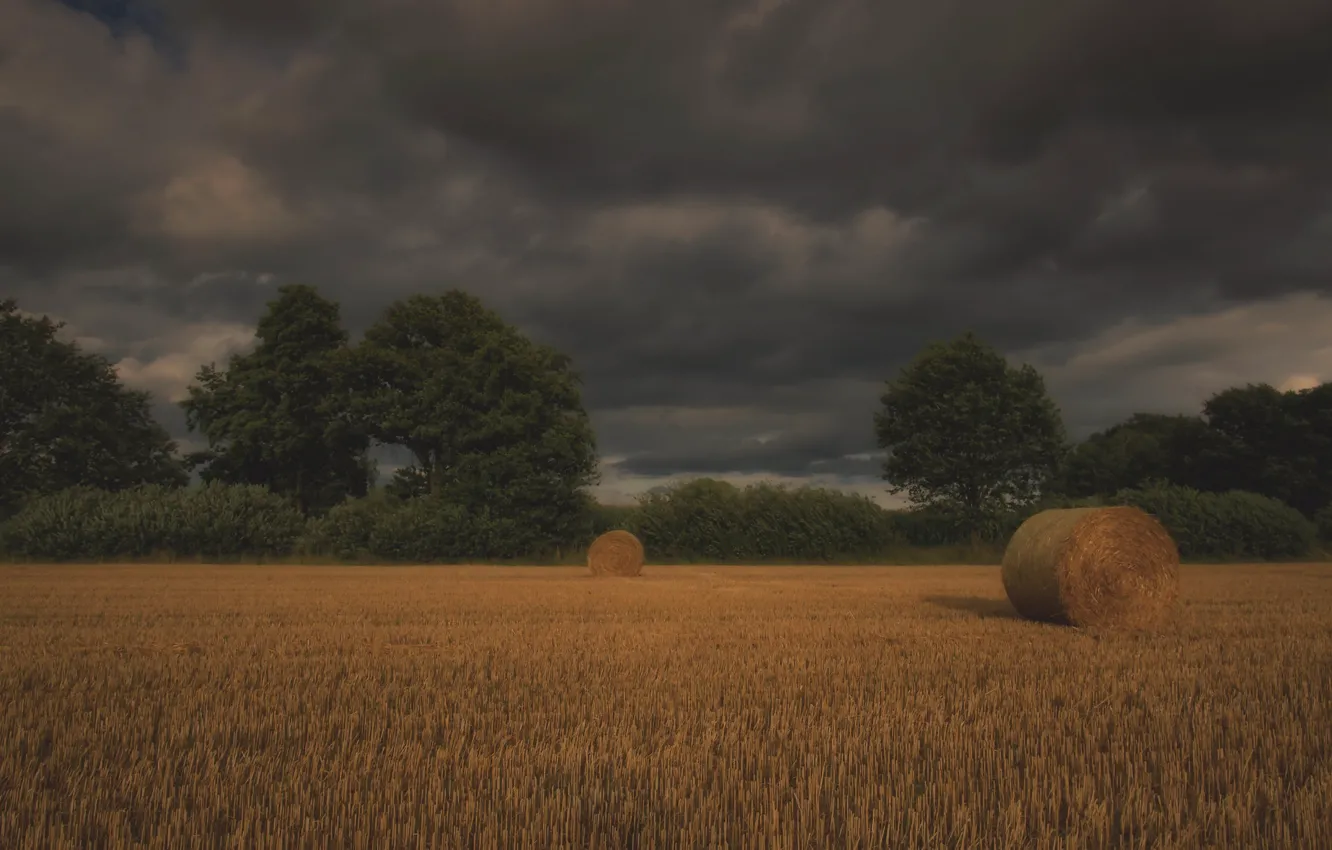 Photo wallpaper field, hay, bales, straw, Kip