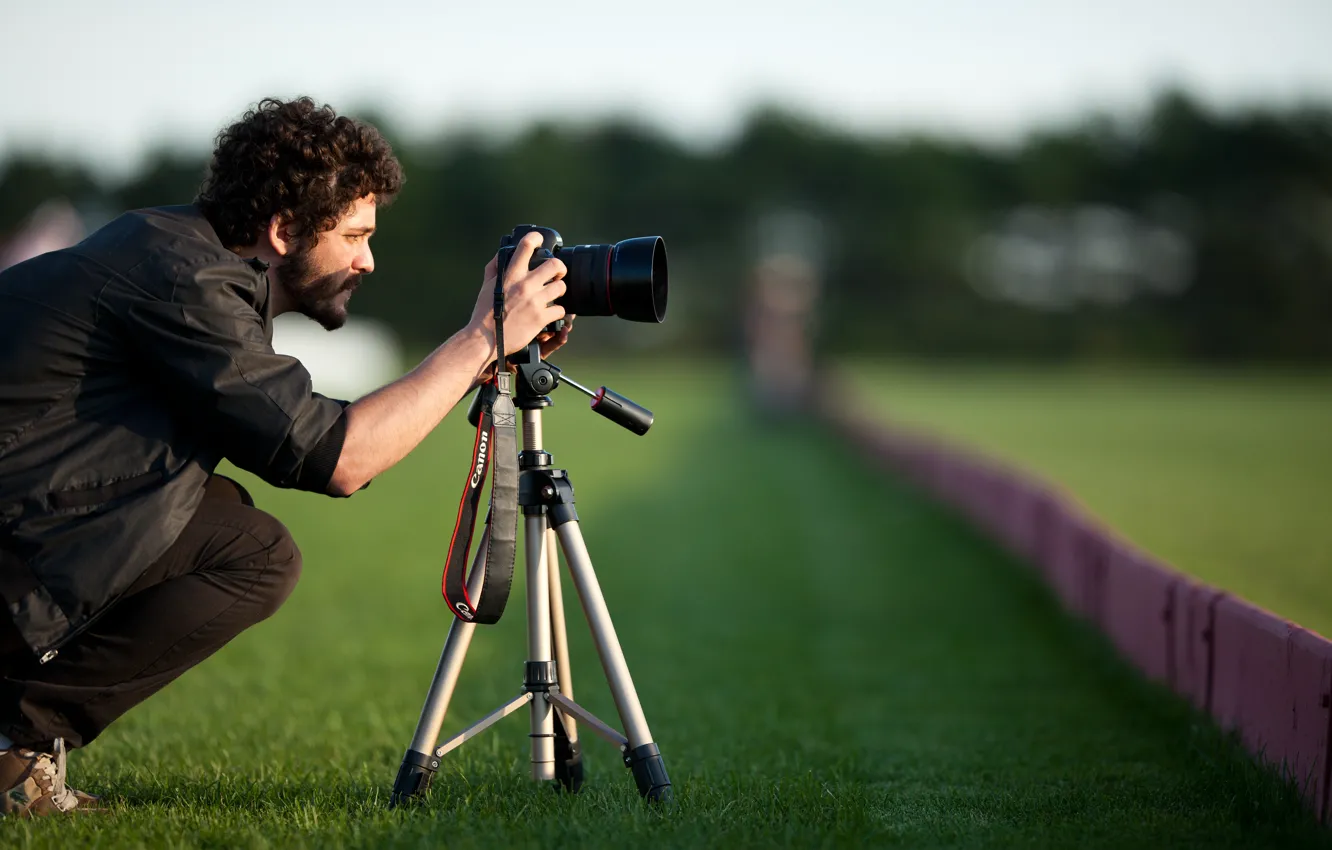 Photo wallpaper greens, grass, mustache, nature, background, situation, Wallpaper, frame