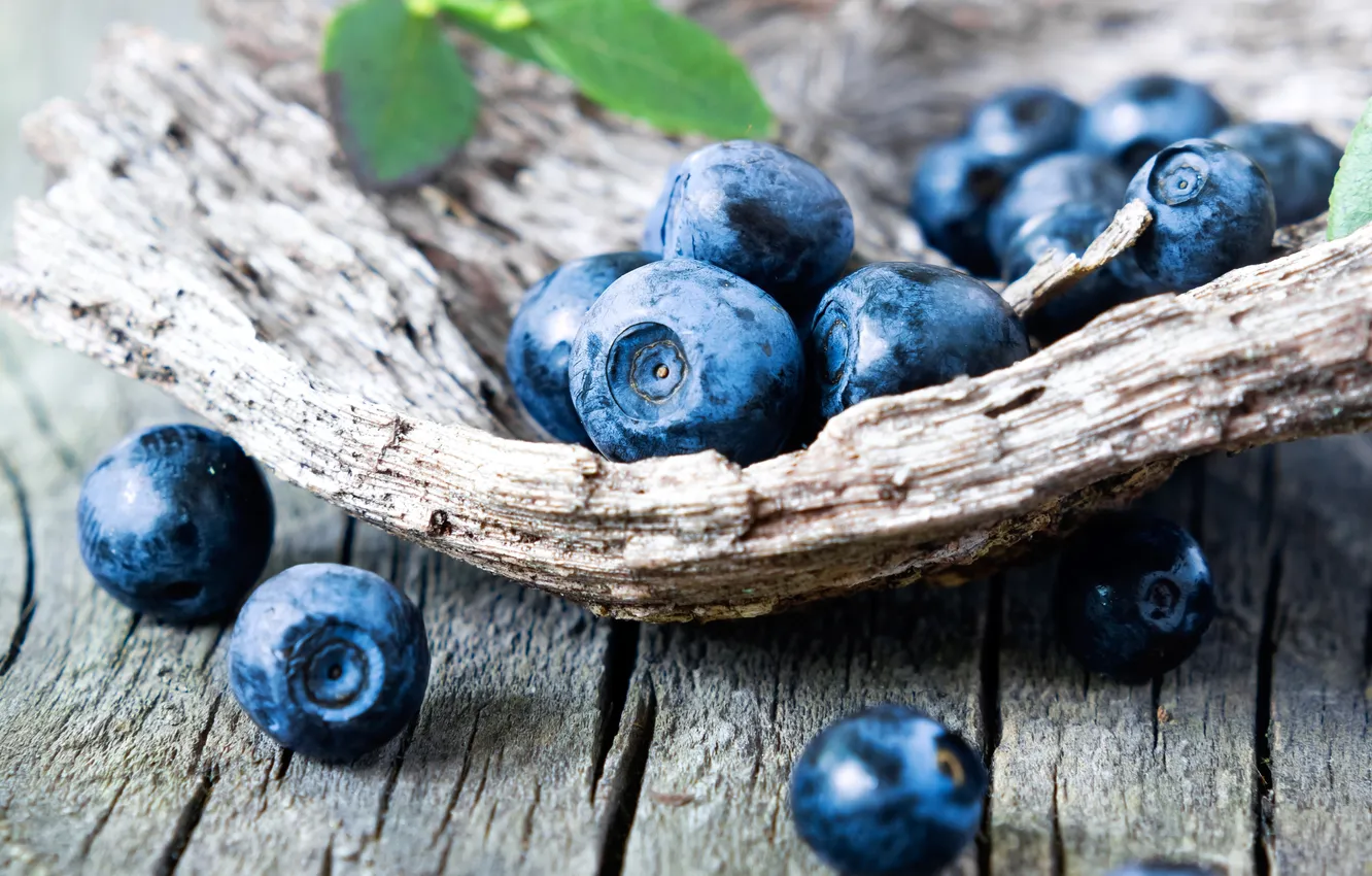 Photo wallpaper berries, blueberries, fresh, wood, blueberry, blueberries, berries