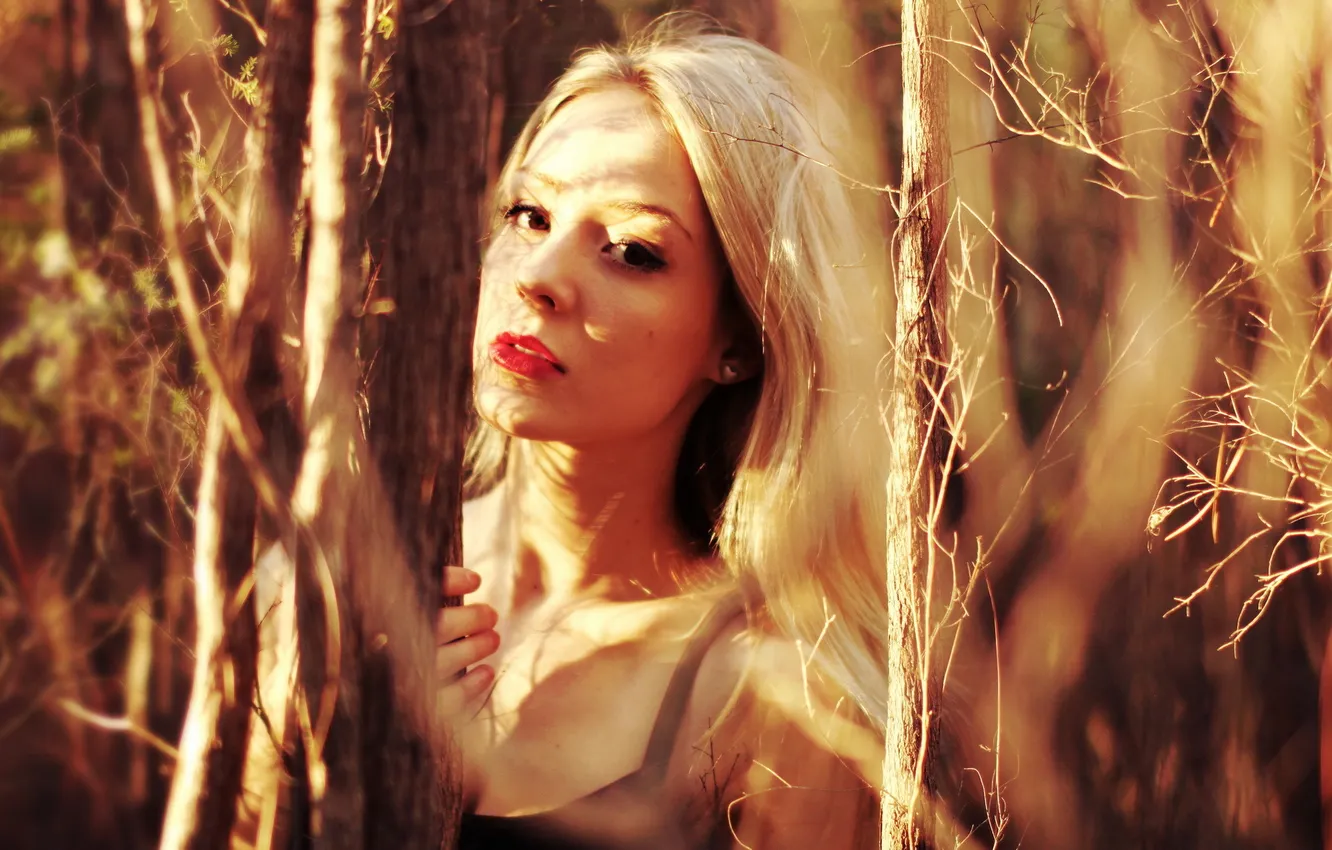 Photo wallpaper look, girl, light