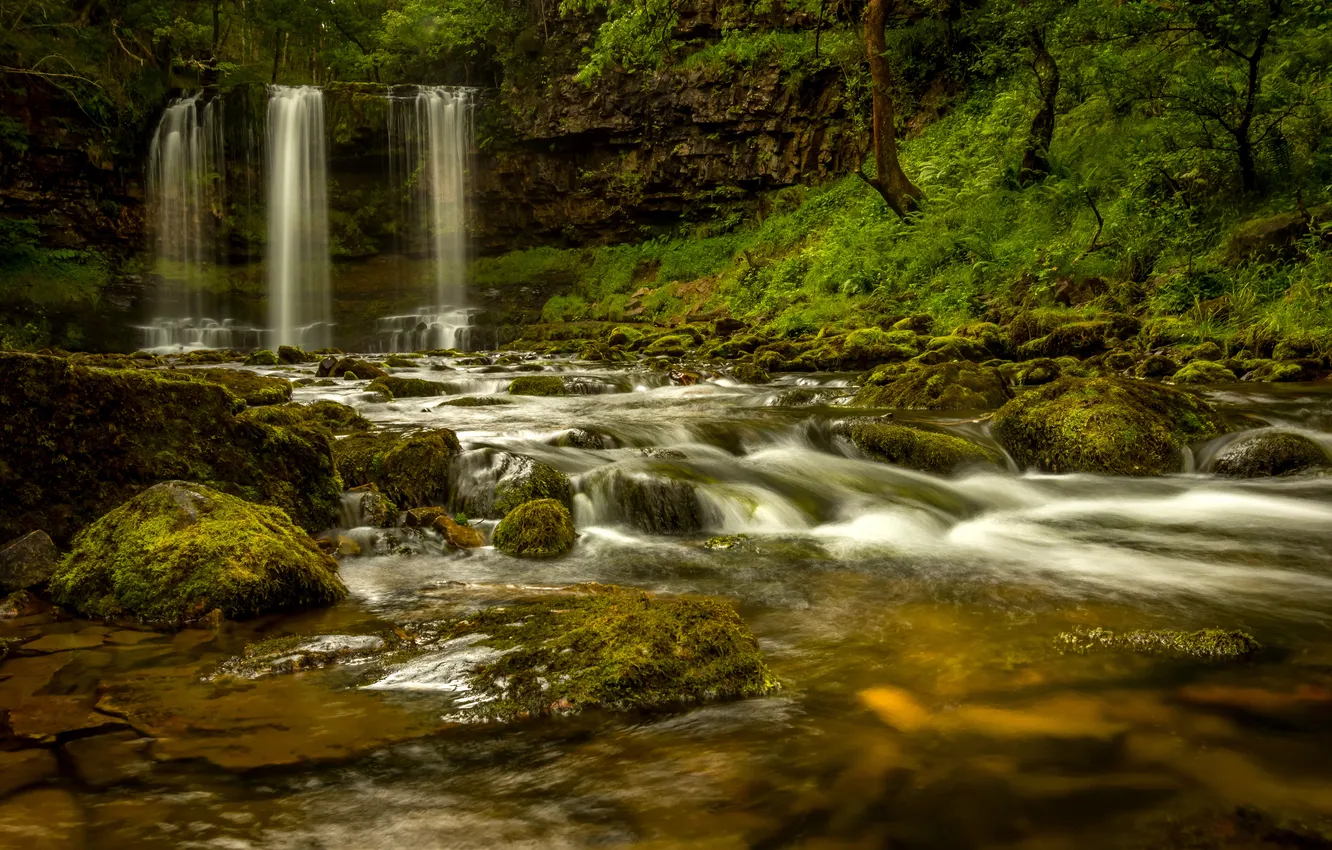 Photo wallpaper forest, trees, stream, stones, rocks, for, waterfall, moss
