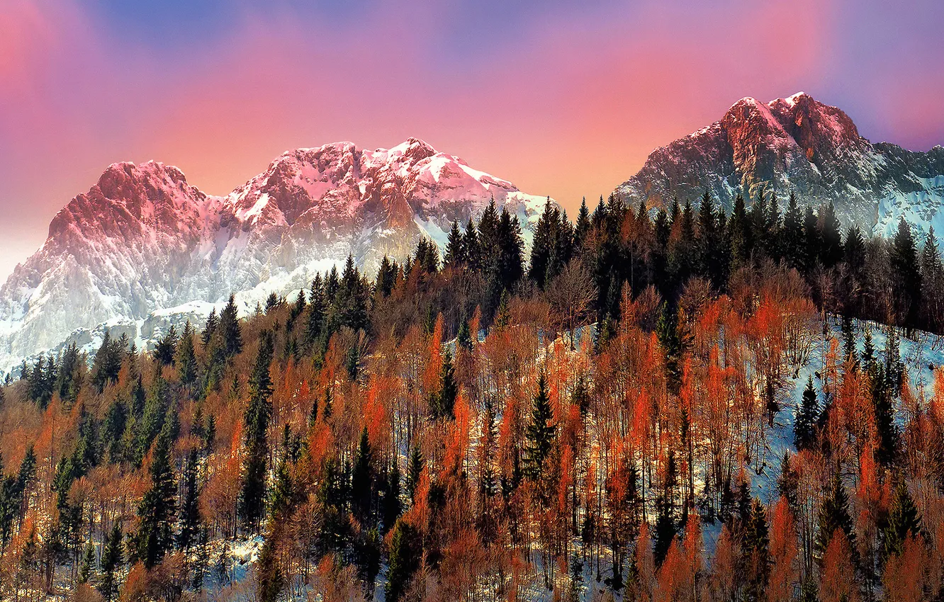 Photo wallpaper winter, snow, trees, mountains, Italy, Lombardy