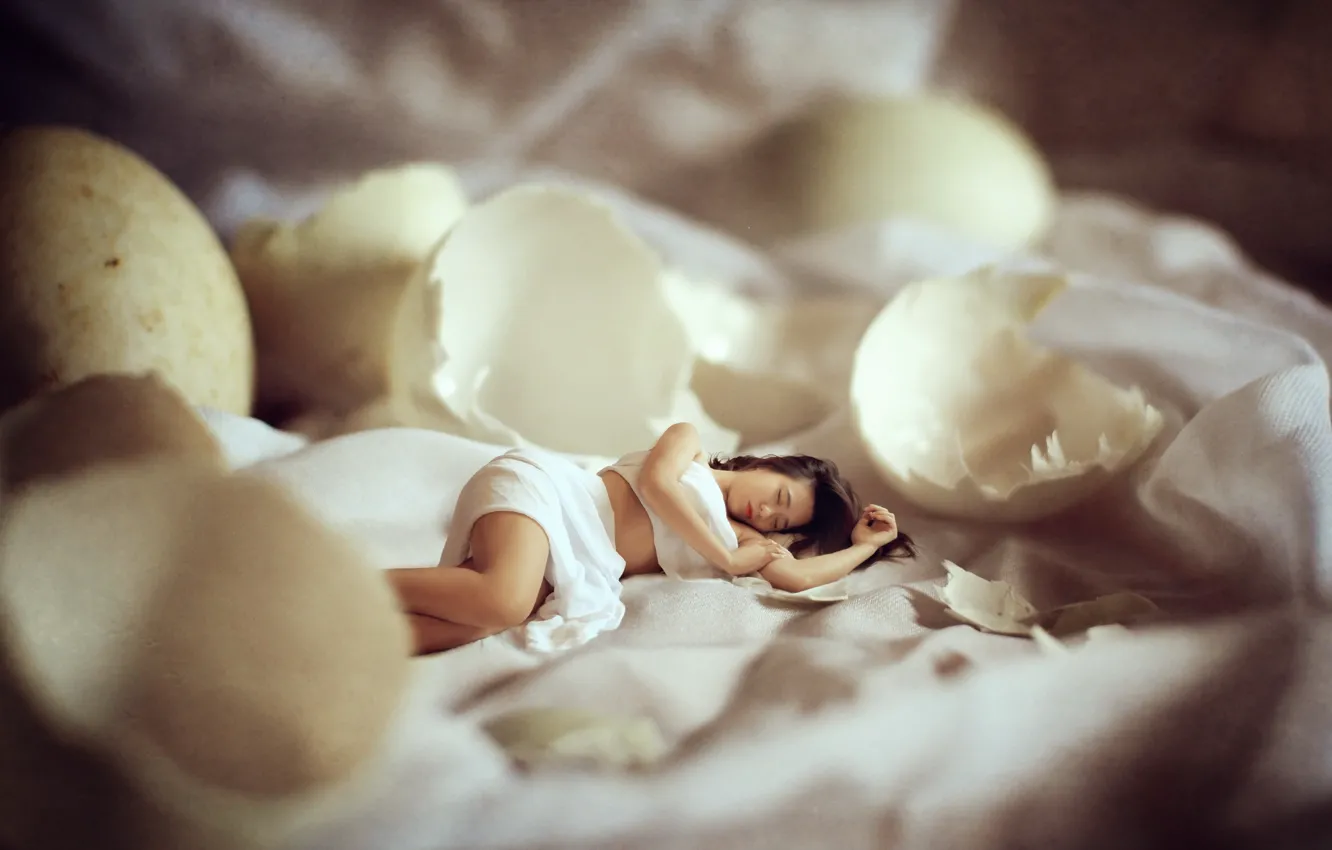 Photo wallpaper girl, background, shell