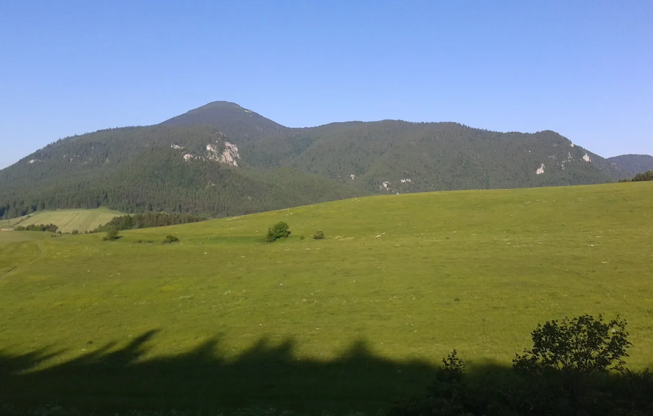 Photo wallpaper green, girl, nature, beauty, mood, hill, cool, nice