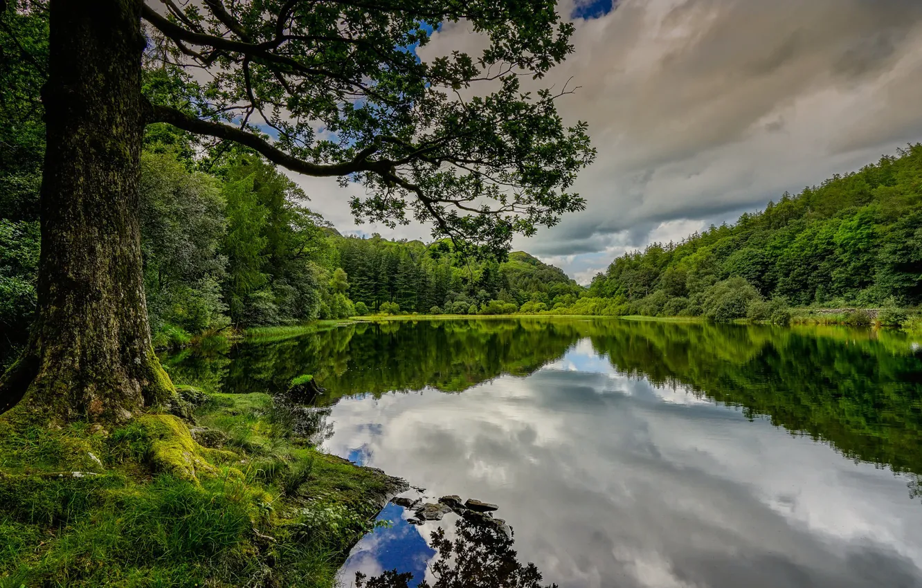 Photo wallpaper forest, summer, lake, reflection, tree, England, England, The lake district