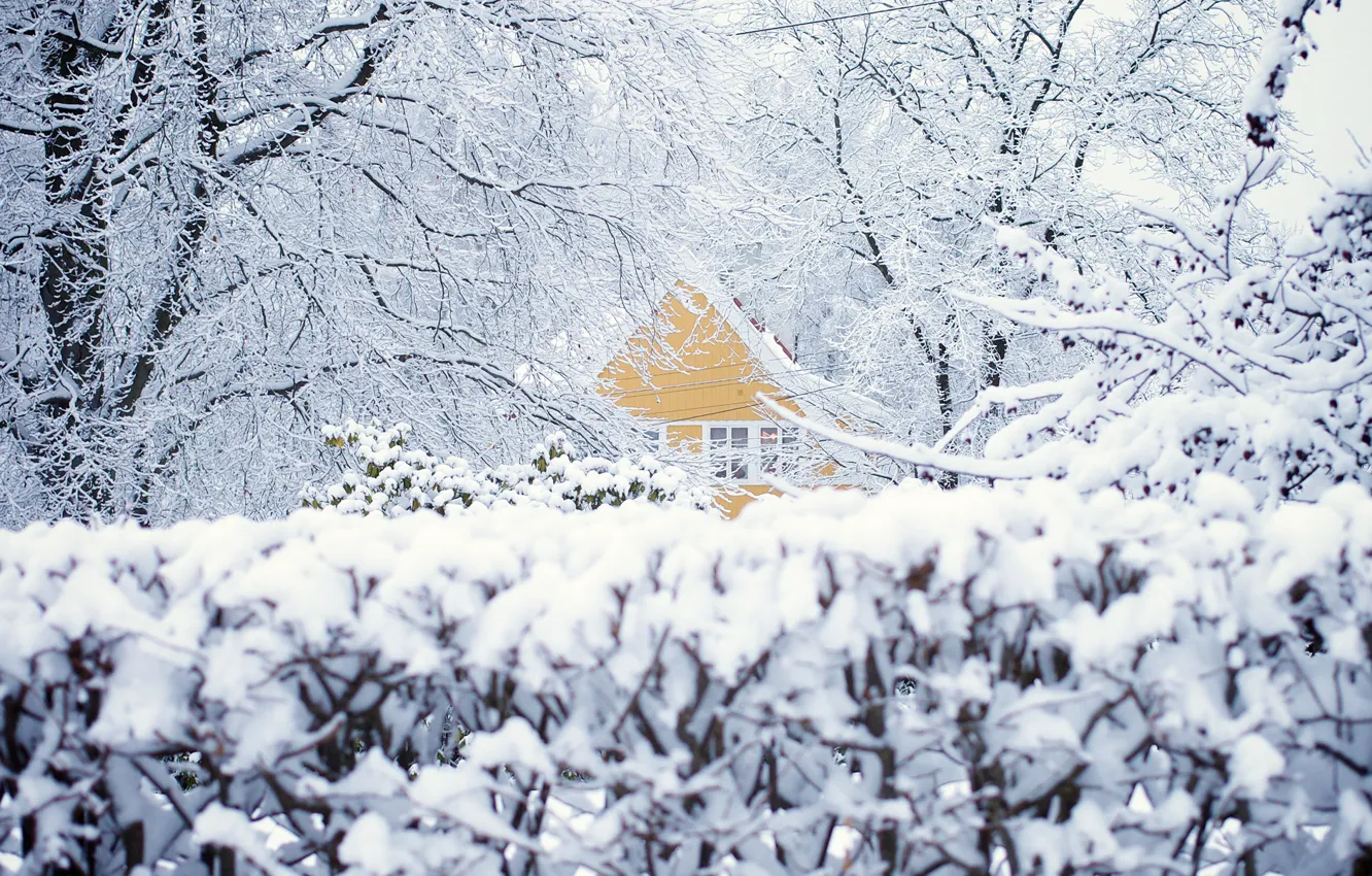 Photo wallpaper winter, snow, trees, house, Norway, Oslo