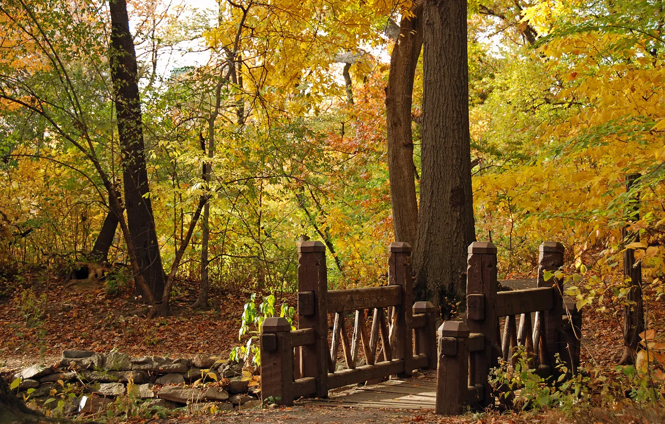 Photo wallpaper autumn, landscape, bridge, nature, Park, bridge, wood, resize