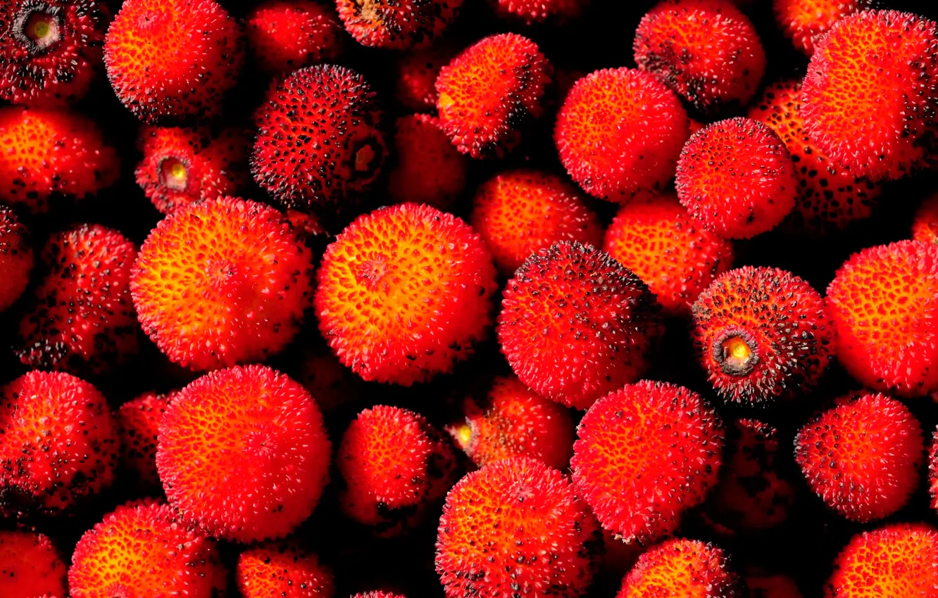Photo wallpaper fruit, seeded drupe, strawberry tree, arbutus