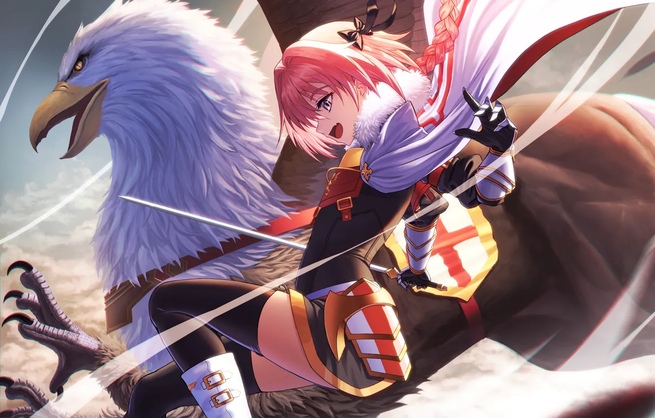 Photo wallpaper bird, characters, Fate - Apocrypha, Fate Apocrypha