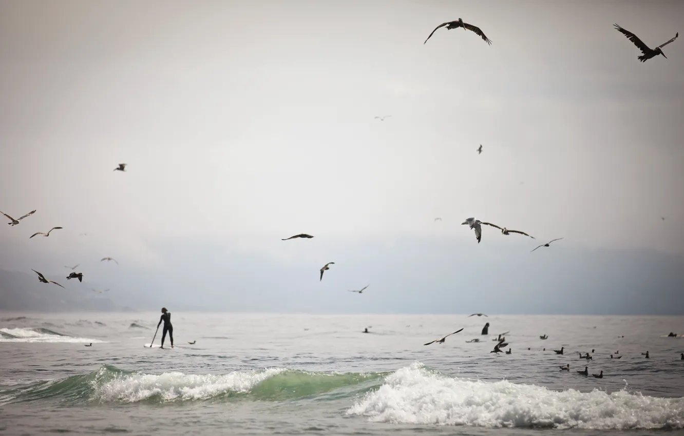 Photo wallpaper sea, bird, people