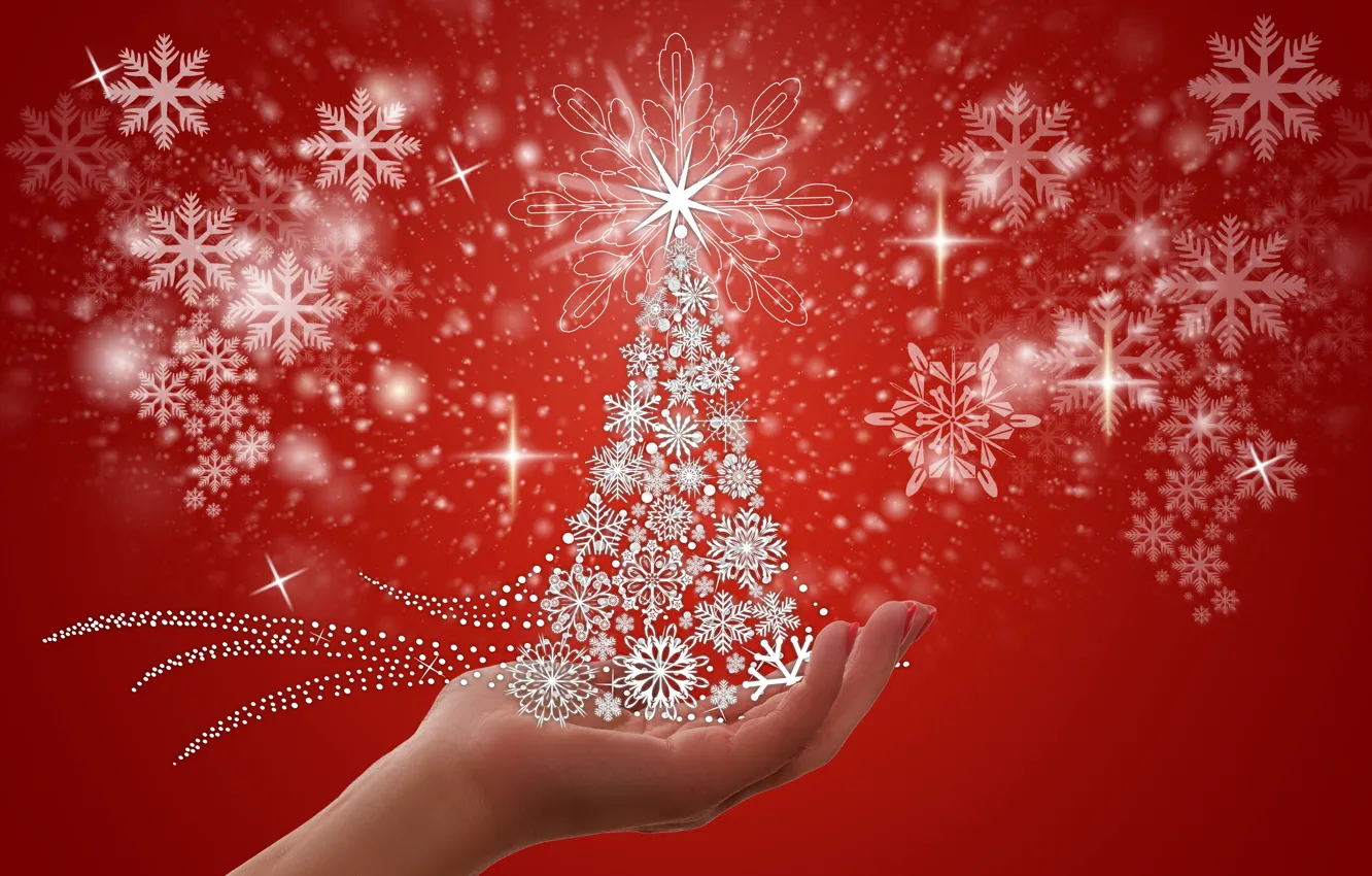 Photo wallpaper snowflakes, background, New Year, Christmas, herringbone, palm, postcard, blank