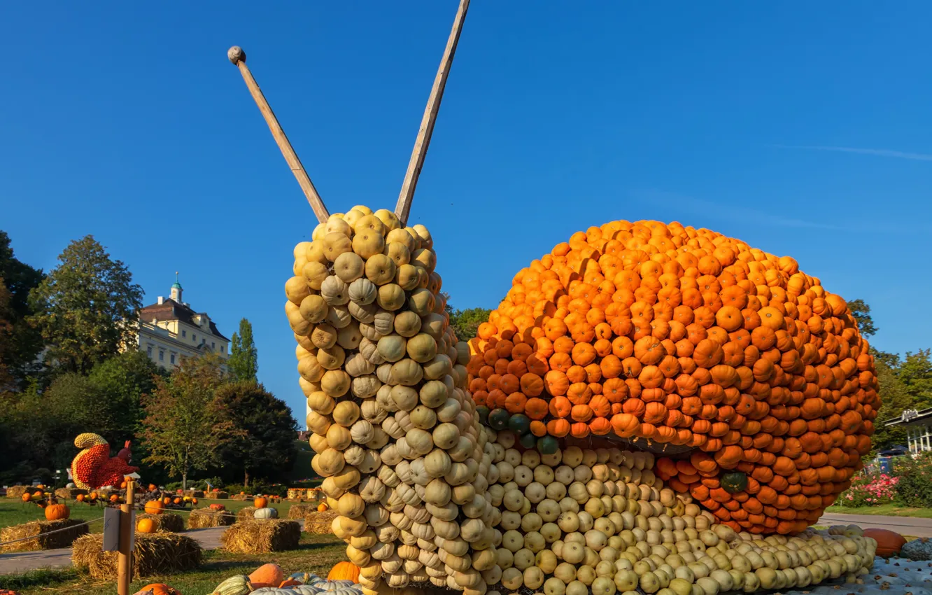 Photo wallpaper design, photo, snail, Germany, pumpkin, Ludwigsburg Pumpkin Festival