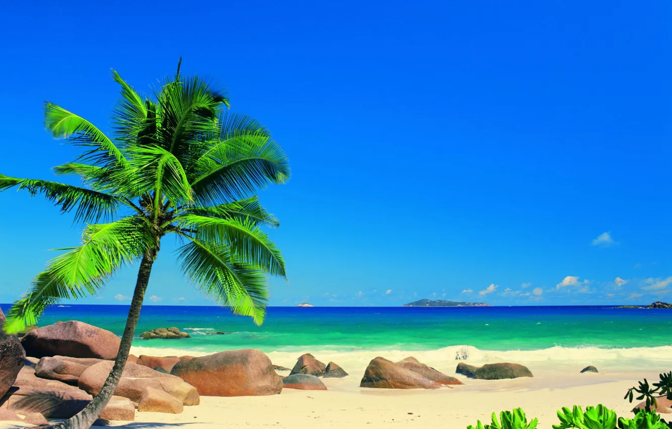 Photo wallpaper summer, the sun, nature, palm trees, ideal, the ocean, stay, Seychelles