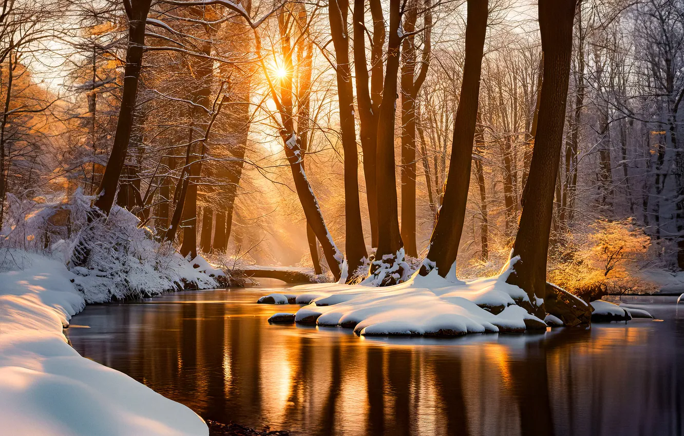 Photo wallpaper winter, forest, nature, reflection, river