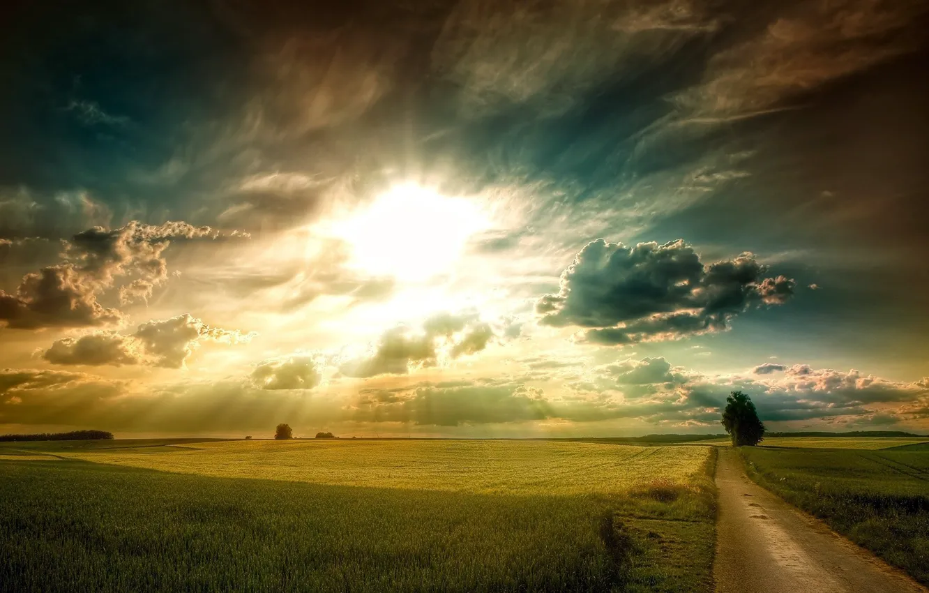 Photo wallpaper ROAD, TREE, GRASS, The SKY, The SUN, CLOUDS, PLAIN, SUNSET