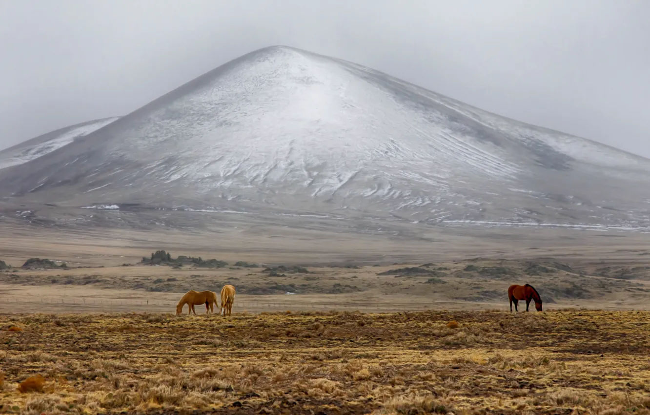 Wallpaper United States, Arizona, Richville for mobile and desktop