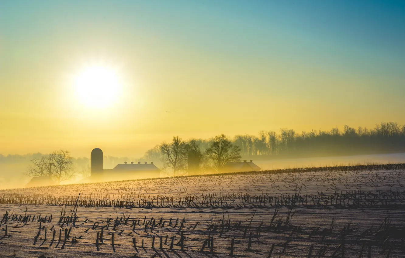 Photo wallpaper field, snow, landscape, morning